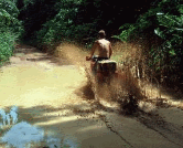 Africa.gif