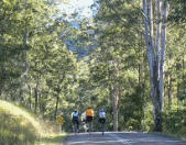 Walcha.gif